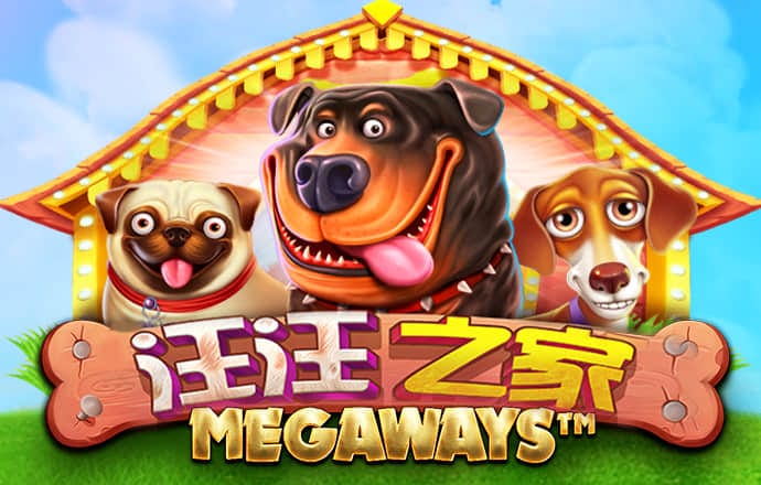 42982金牛网论坛