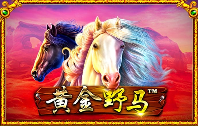 银河娱乐网站