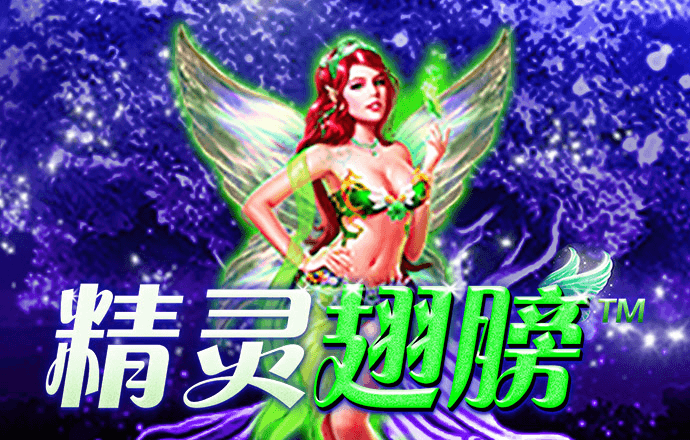 中欧体育kok官网
